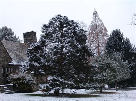 pinwyum|The Pinetum .